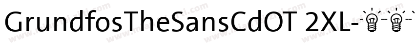 GrundfosTheSansCdOT 2XL字体转换